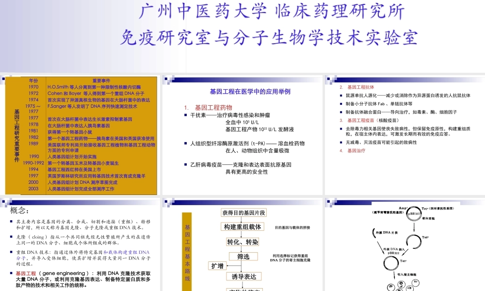 基因工程.ppt