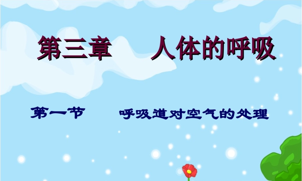 呼吸道对空气的处理(好).ppt