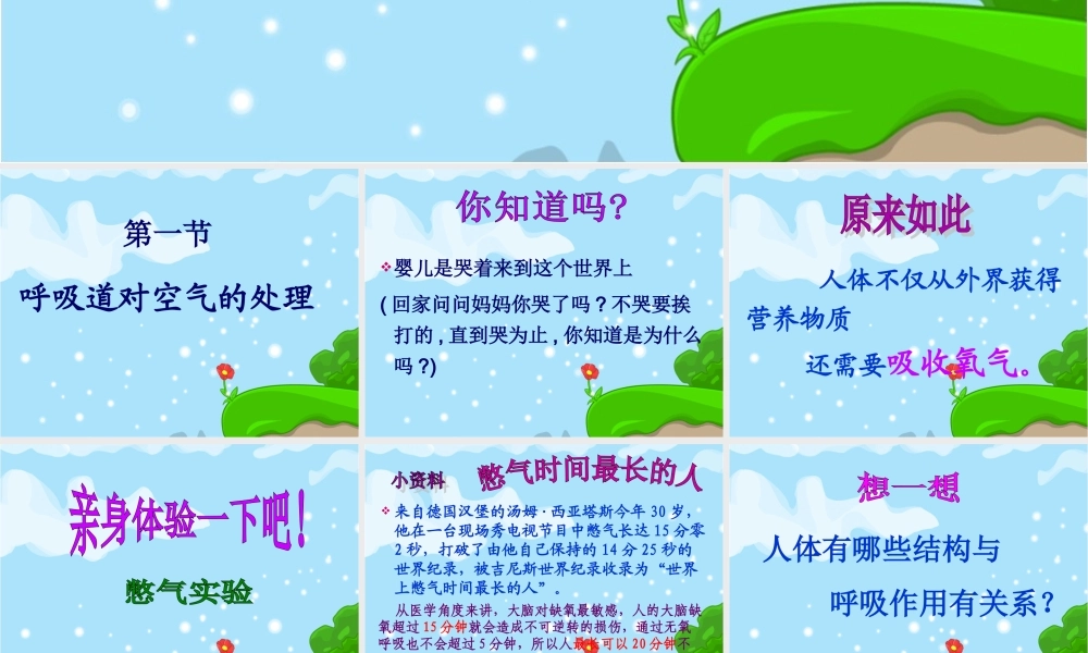 呼吸道对空气的处理(好).ppt