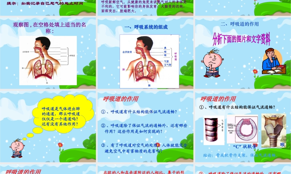 呼吸道对空气的处理(好).ppt