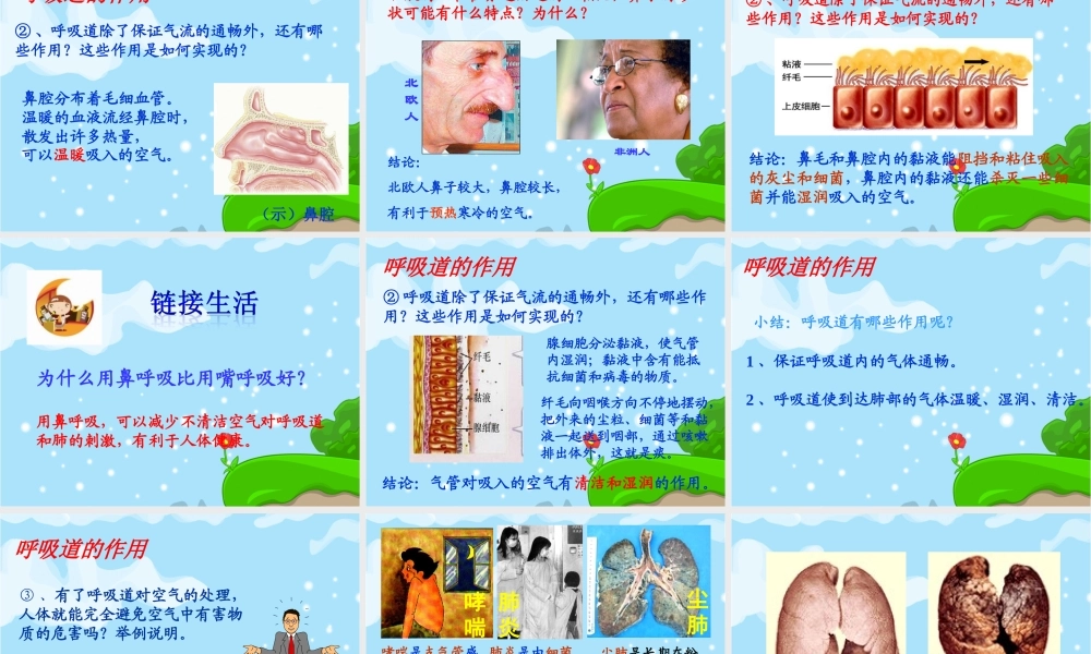 呼吸道对空气的处理(好).ppt