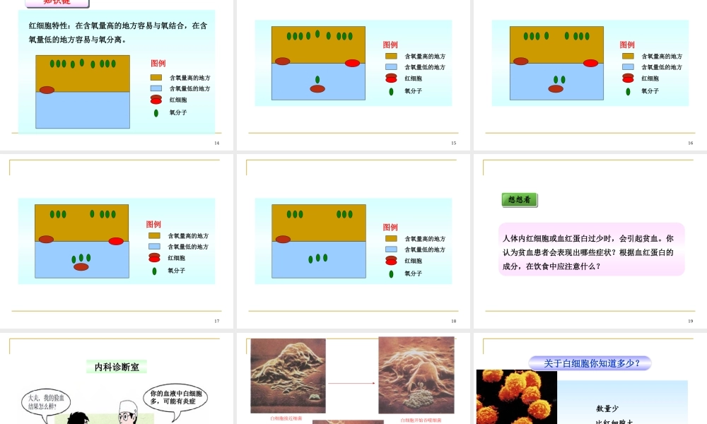 流动的组织——血液 (1).ppt