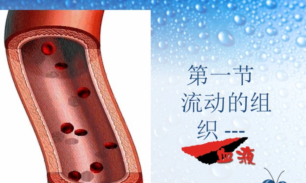 流动的组织——血液.ppt