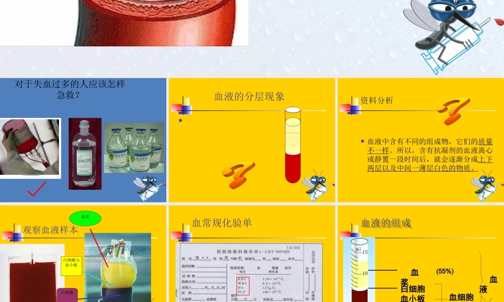 流动的组织——血液.ppt