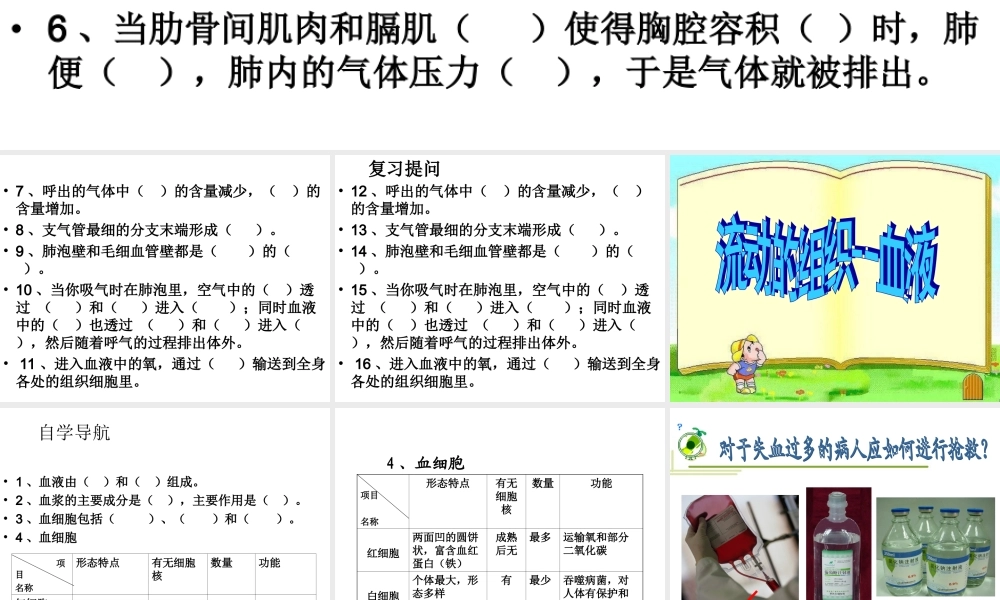 流动的组织——血液1.ppt