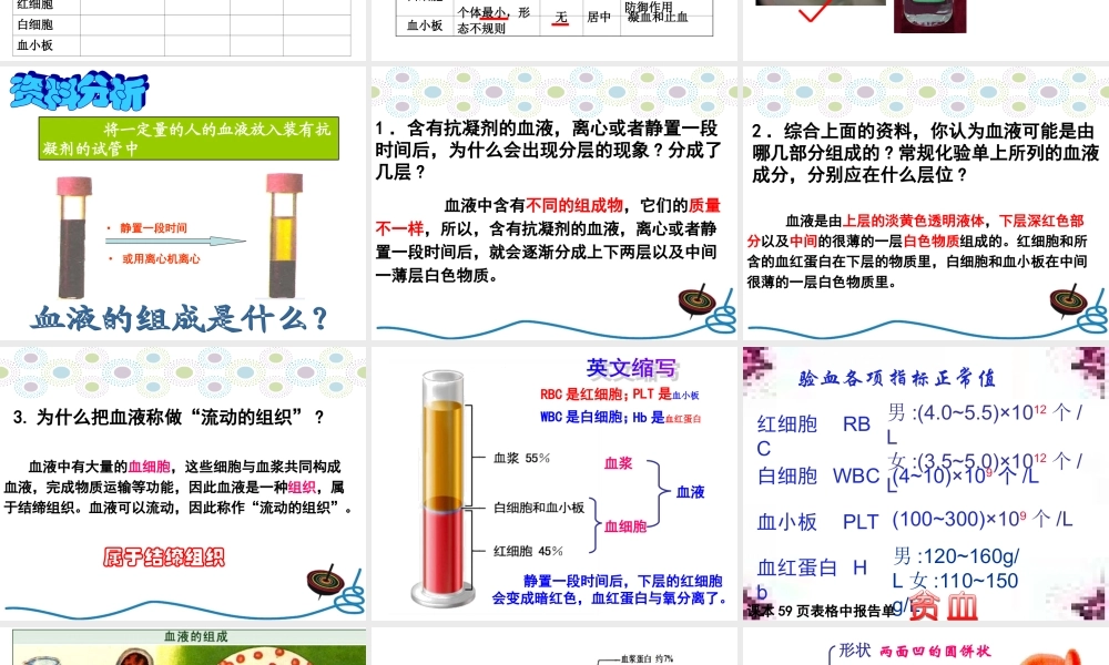 流动的组织——血液1.ppt