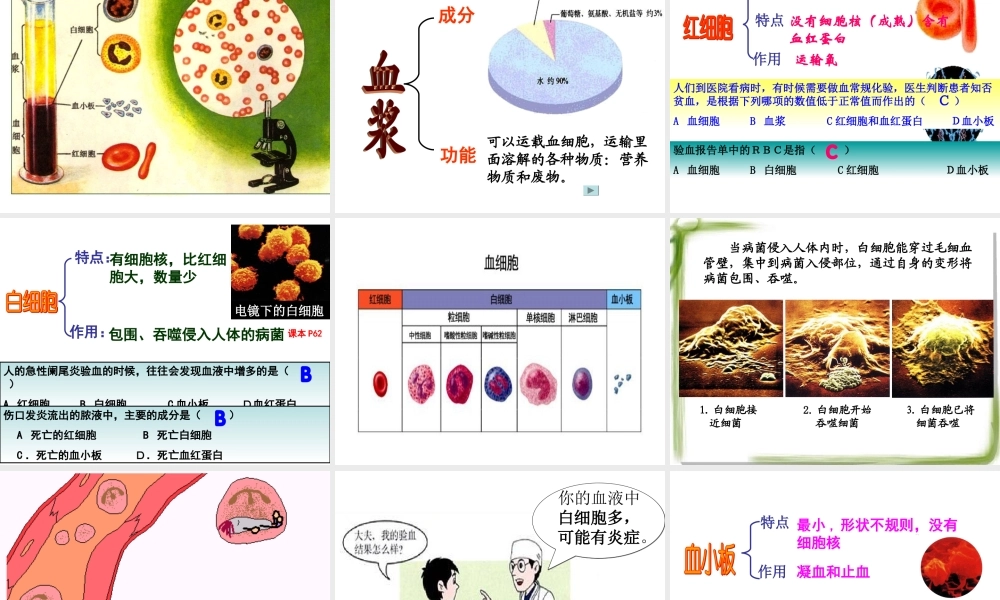 流动的组织——血液1.ppt