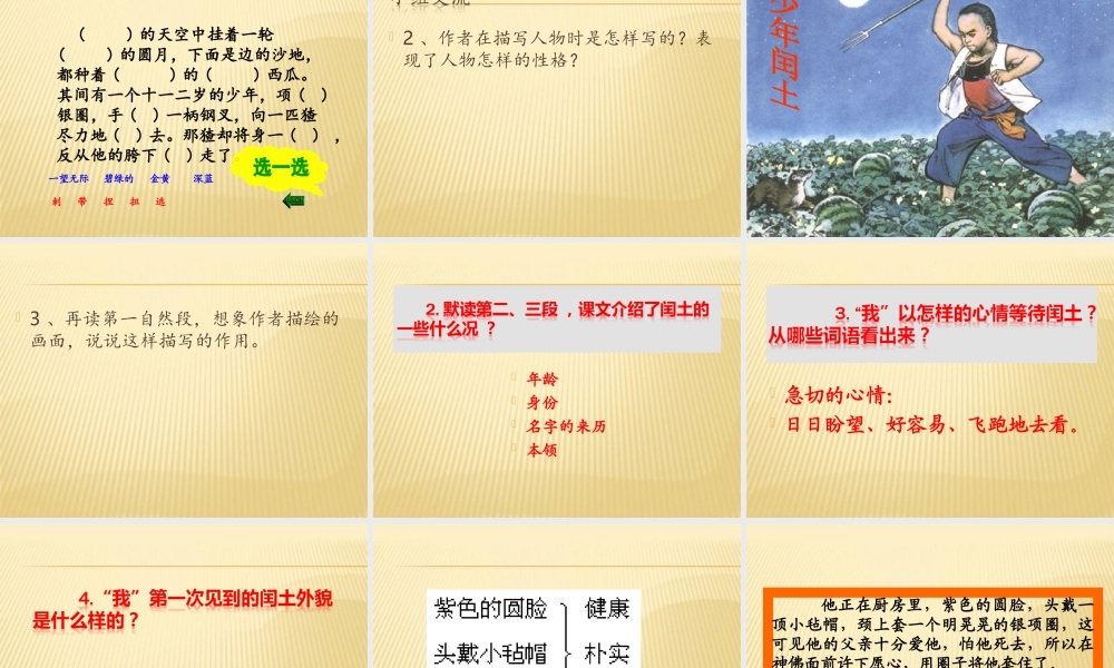 六年级上册语文课件-24 少年闰土_人教部编版(共42张PPT)(1).ppt