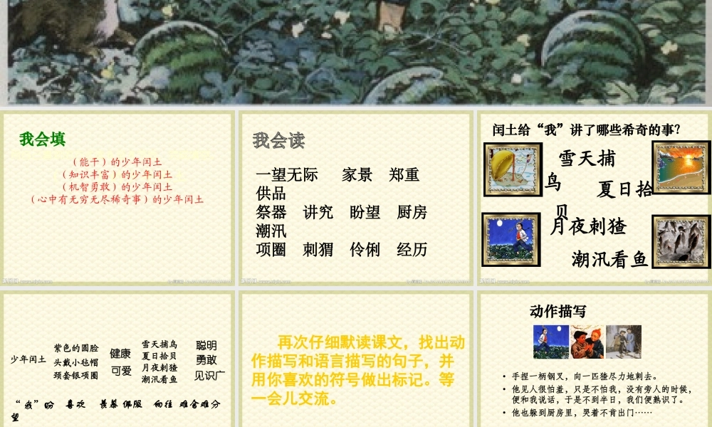 六年级上册语文课件-24 少年闰土_人教部编版(共16张PPT).ppt