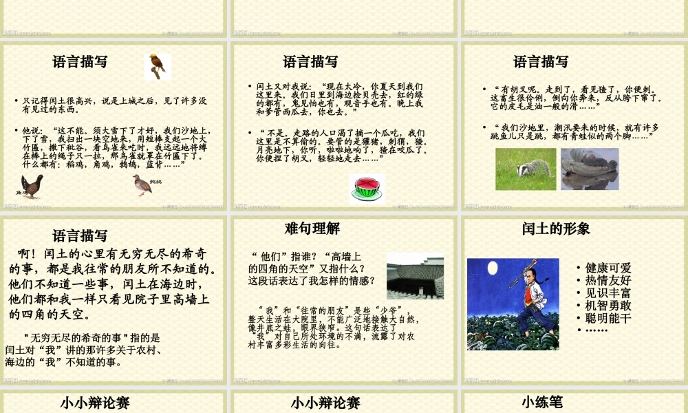 六年级上册语文课件-24 少年闰土_人教部编版(共16张PPT).ppt