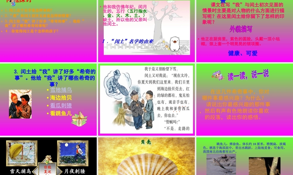 六年级上册语文课件-24 少年闰土_人教部编版(共42张PPT)(2).ppt