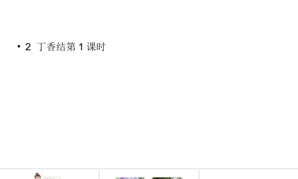 六年级上册语文课件-第1单元2《丁香结》课时1 人教部编版 (共19张PPT).ppt