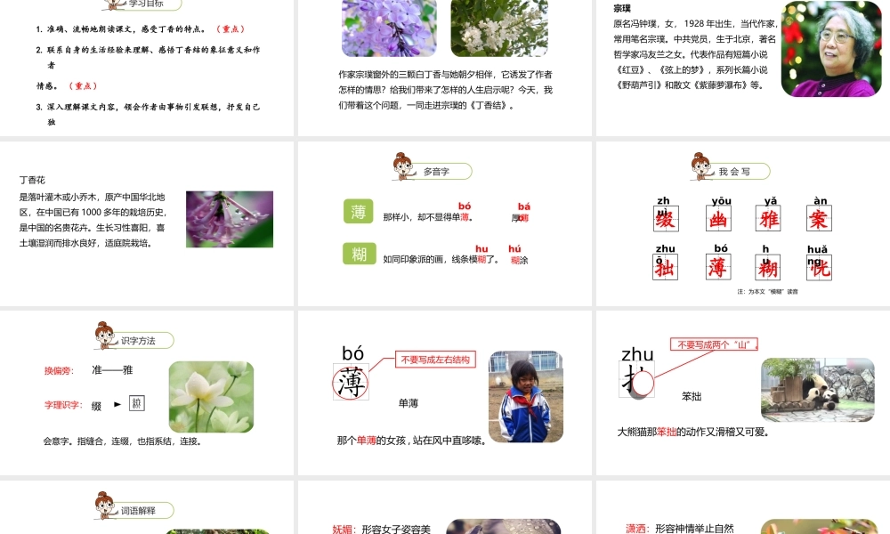 六年级上册语文课件-第1单元2《丁香结》课时1 人教部编版 (共19张PPT).ppt