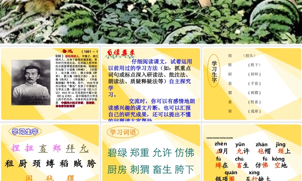 六年级上册语文课件-24 少年闰土_人教部编版(共63张PPT).ppt