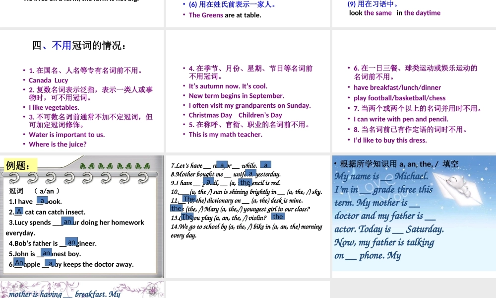 六年级下册英语课件-小升初英语知识点专项复习专题二_词类_冠词课件 全国通用(共15张PPT)(1).ppt