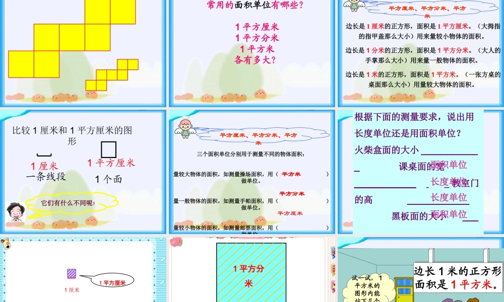 面积和面积单位.ppt