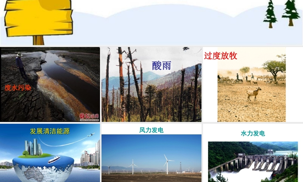 拟定保护生态环境的计划课件.ppt