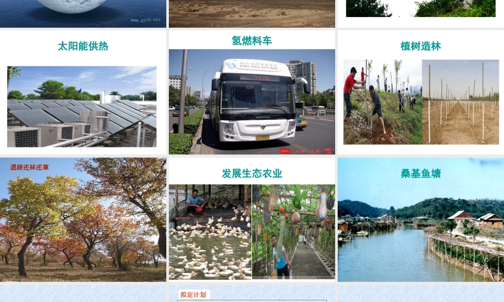 拟定保护生态环境的计划课件.ppt