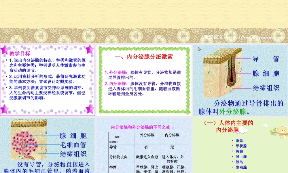 七年级生物第四节激素调节课件人教版.ppt