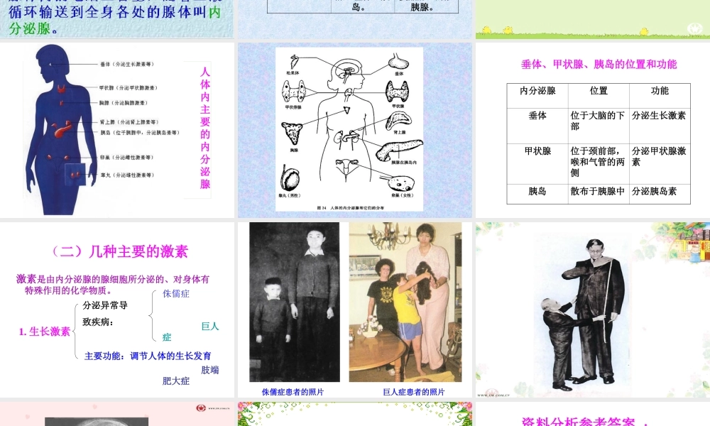 七年级生物第四节激素调节课件人教版.ppt