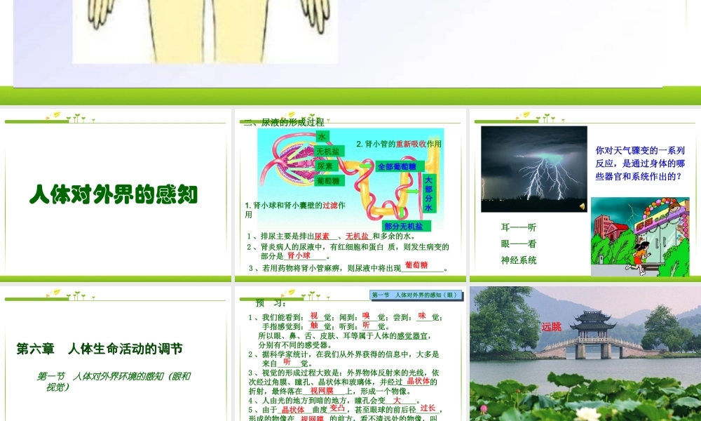 七年级生物下册 第六章 第一节 人体对外界的感知(眼和视觉)课件 新人教版.ppt