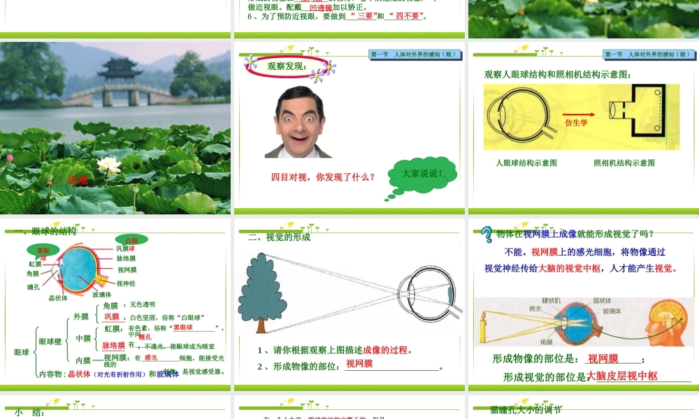 七年级生物下册 第六章 第一节 人体对外界的感知(眼和视觉)课件 新人教版.ppt