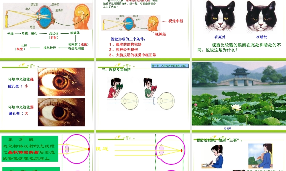 七年级生物下册 第六章 第一节 人体对外界的感知(眼和视觉)课件 新人教版.ppt