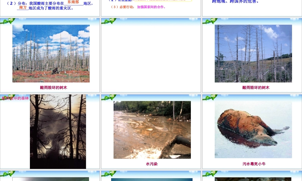 七年级生物第二节_探究环境污染对生物的影响课件人教版.ppt