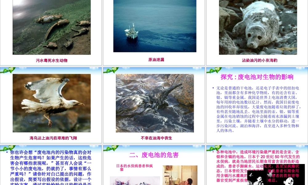 七年级生物第二节_探究环境污染对生物的影响课件人教版.ppt