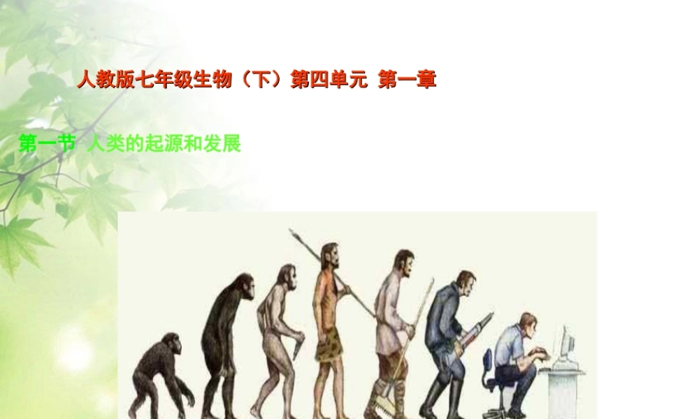 七年级生物下册_1.1人类的起源和发展课件_人教新课标版.ppt