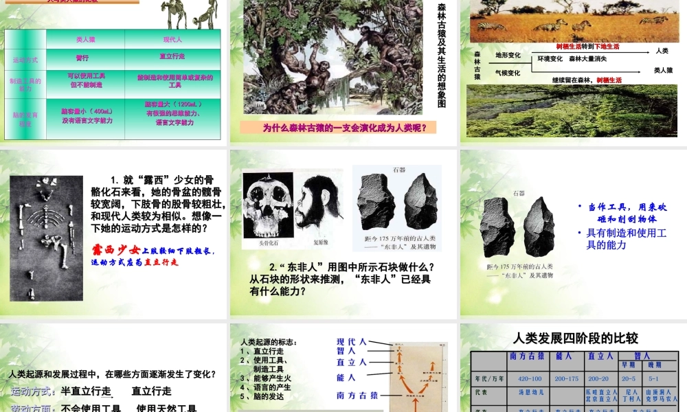 七年级生物下册_1.1人类的起源和发展课件_人教新课标版.ppt