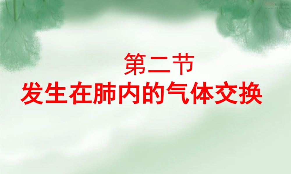 七年级生物下册 3.2 发生在肺内的气体交换课件人教版.ppt