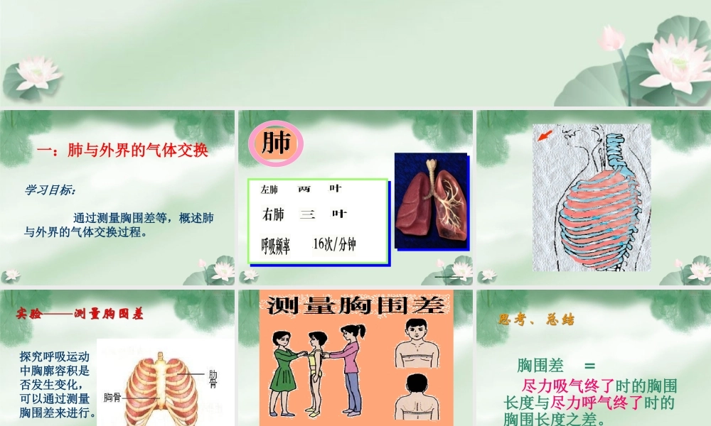 七年级生物下册 3.2 发生在肺内的气体交换课件人教版.ppt