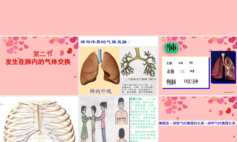 七年级生物下册 第三章 第二节 发生在肺内的气体交换课件 新人教版.ppt