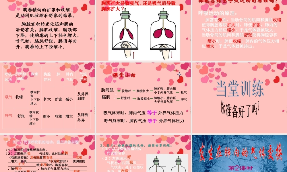 七年级生物下册 第三章 第二节 发生在肺内的气体交换课件 新人教版.ppt