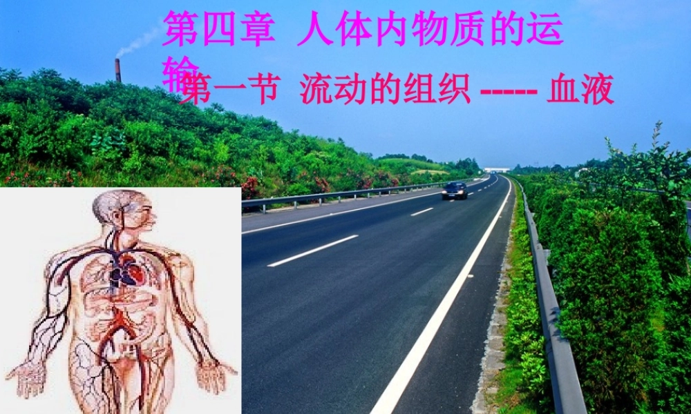七年级生物第一节_流动的组织─血液课件人教版.ppt