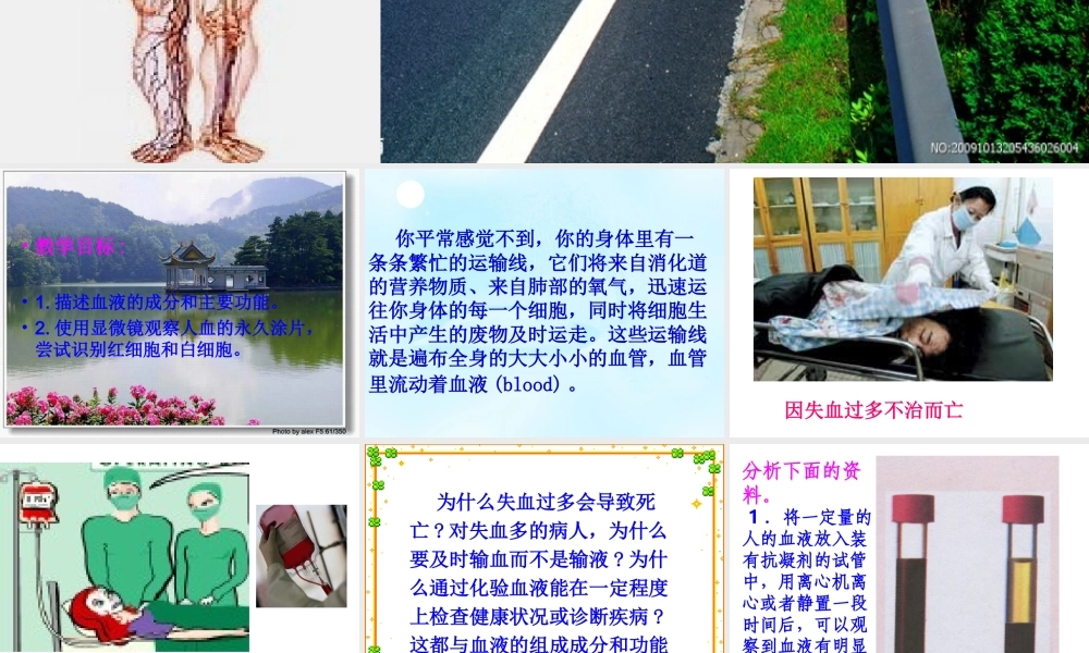 七年级生物第一节_流动的组织─血液课件人教版.ppt