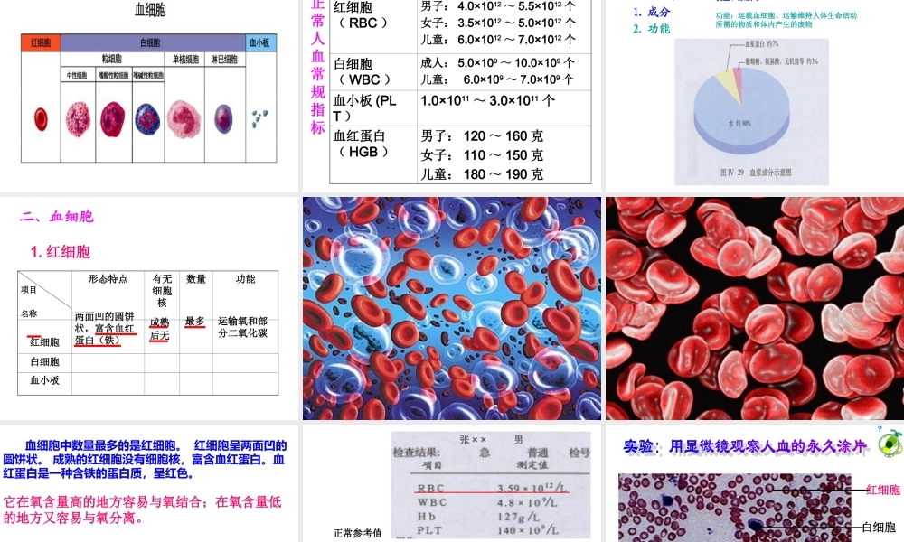 七年级生物第一节_流动的组织─血液课件人教版.ppt