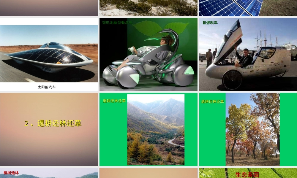 七年级生物下册_第七章_第三节_拟定保护生态环境的计划课件_新人教版.ppt