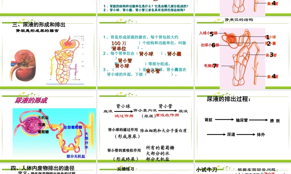 七年级生物人体内废物的排出.ppt