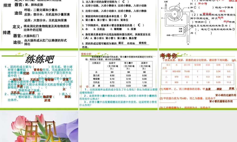 七年级生物人体内废物的排出.ppt