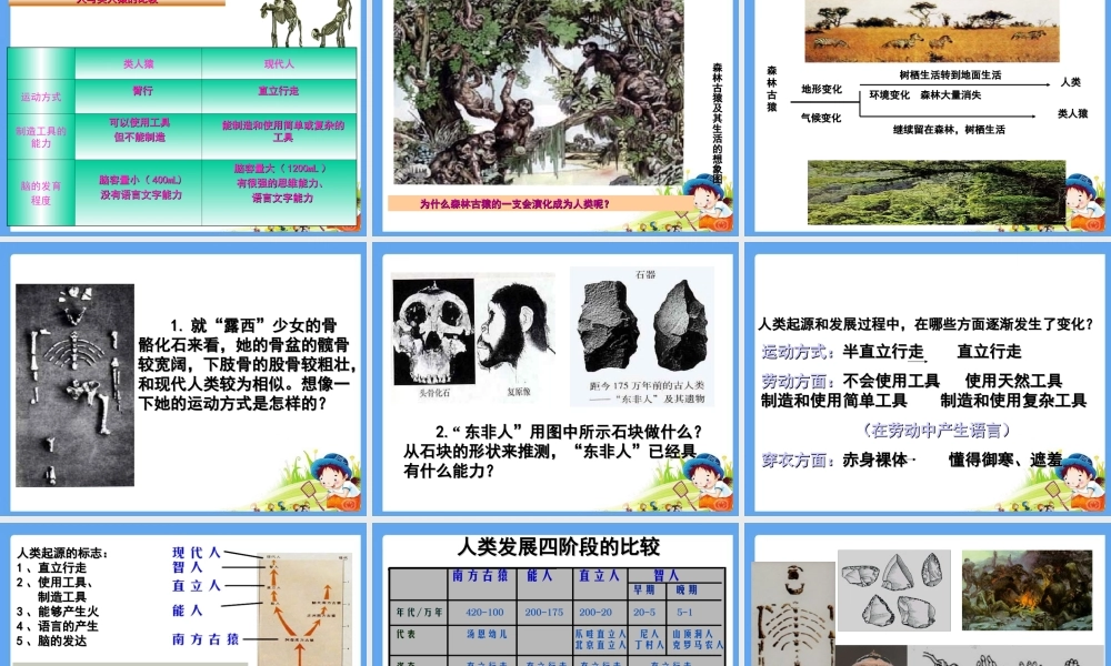 七年级生物下册_1.1人类的起源和发展课件_人教新课标版 (1).ppt