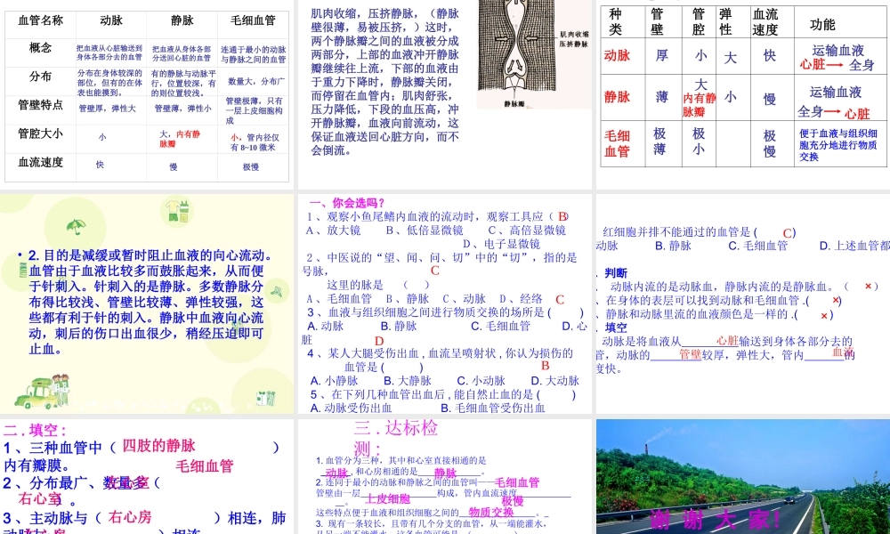 七年级生物第二节_血流的管道_血管课件人教版.ppt
