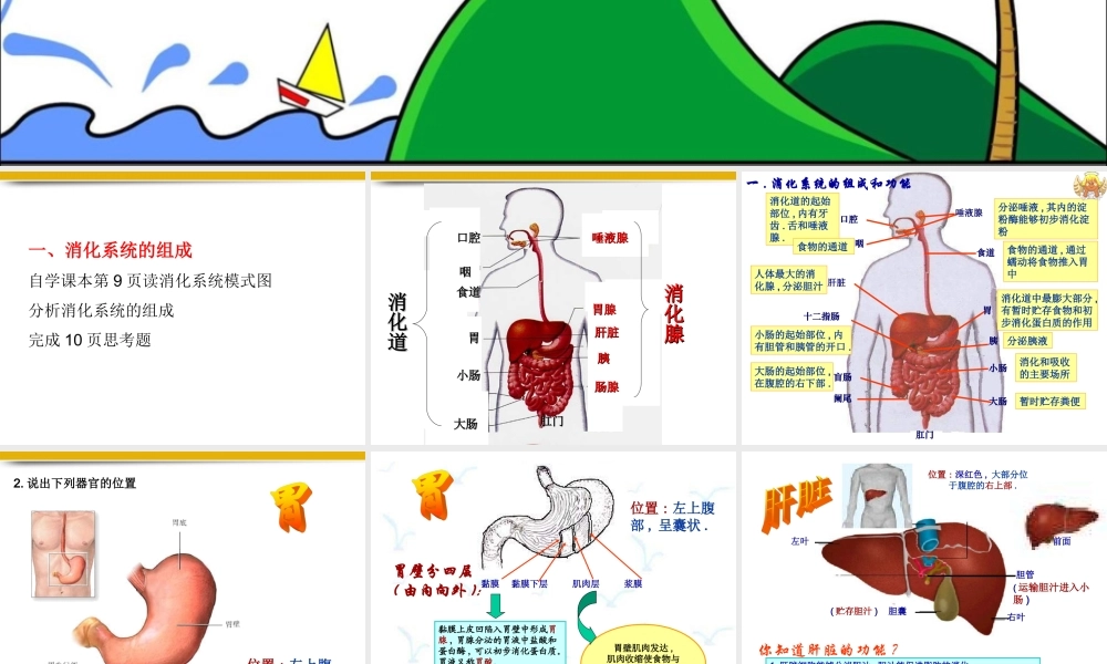 七年级生物下册_3.1.2《消化和吸收》课件_人教版_(1)_2.ppt