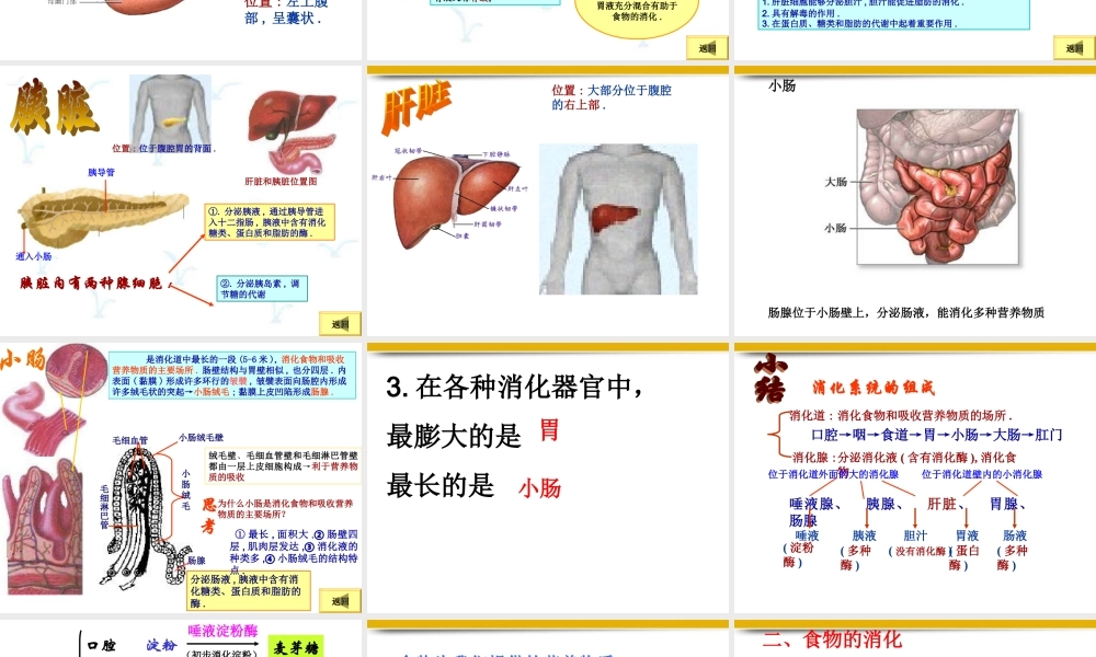七年级生物下册_3.1.2《消化和吸收》课件_人教版_(1)_2.ppt