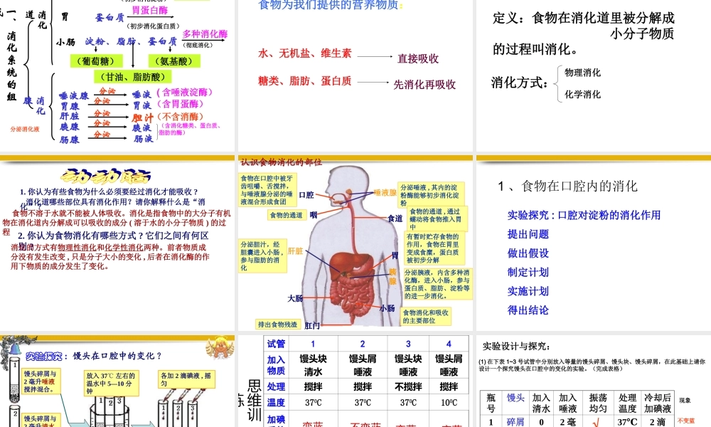 七年级生物下册_3.1.2《消化和吸收》课件_人教版_(1)_2.ppt