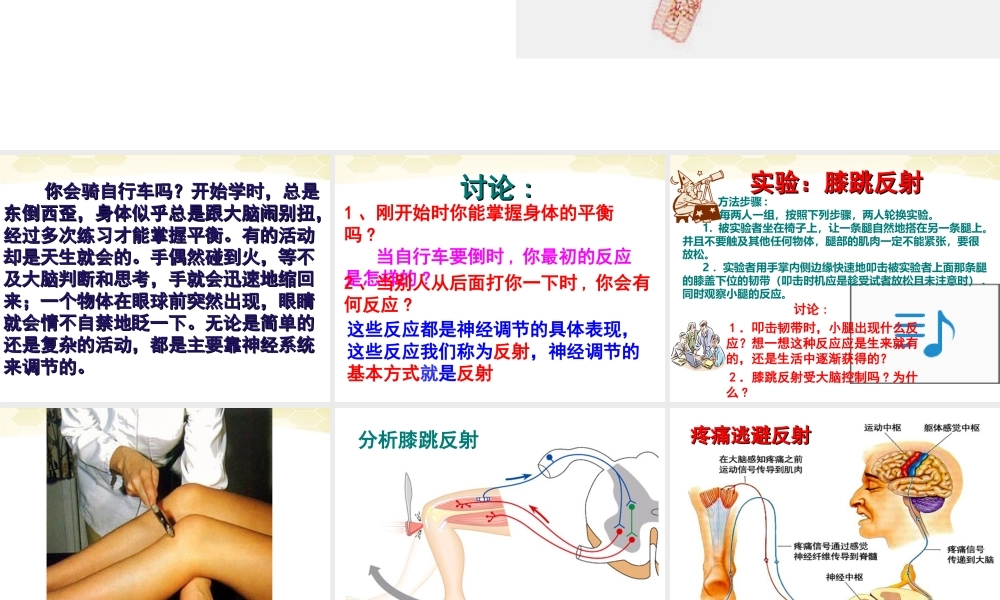 七年级生物下册_6.3神经调节的基本方式课件_人教新课标版.ppt