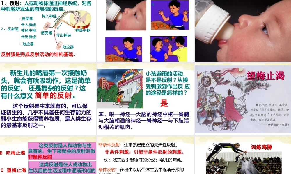 七年级生物下册_6.3神经调节的基本方式课件_人教新课标版.ppt