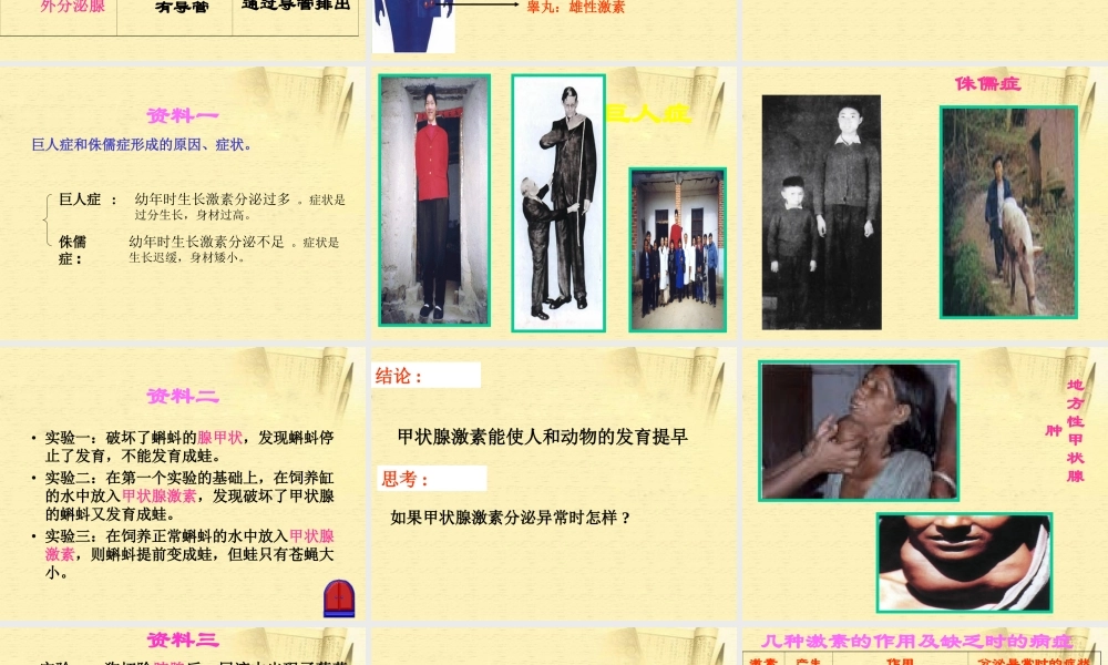 七年级生物下册_第四节_激素调节课件_人教新课标版.ppt