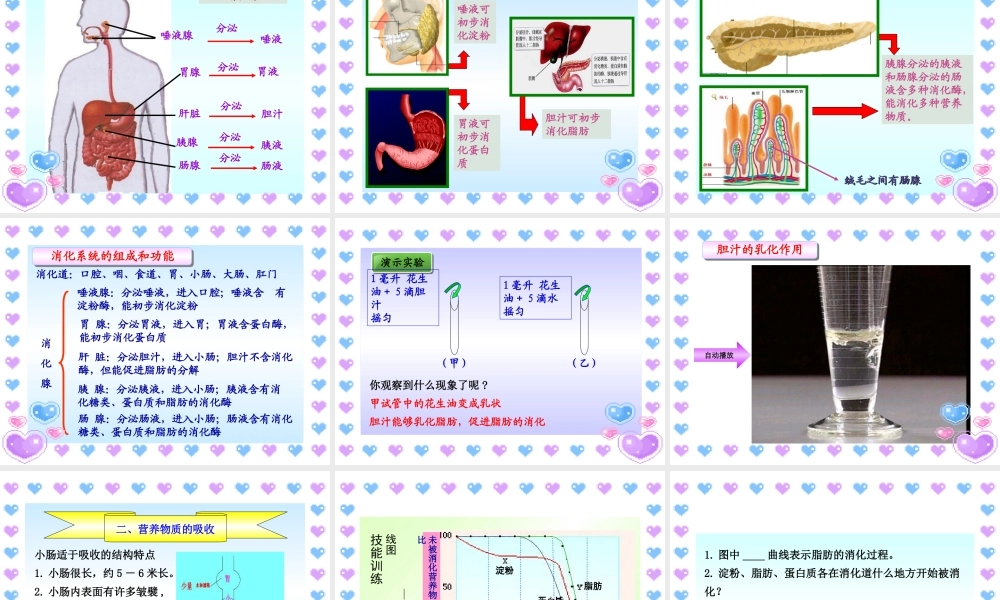 七年级下册生物2.2消化和吸收.ppt